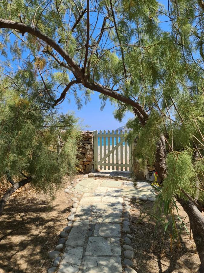 Nature Eco Living Serifos Livadi  Esterno foto